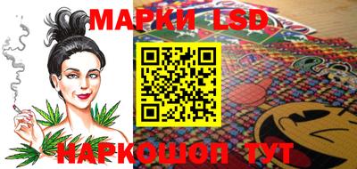 СК Гатчина