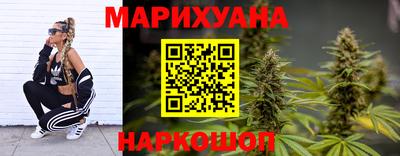 СК Гатчина