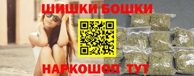 СК Гатчина