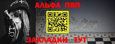 СК Гатчина