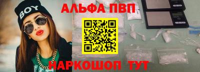 СК Гатчина